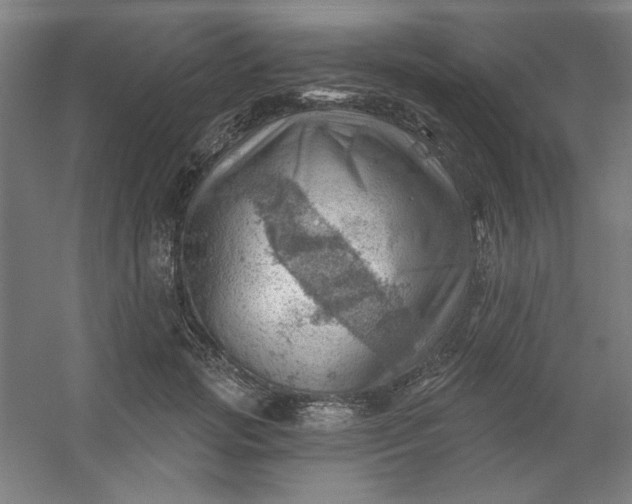 X0000054400749200508121658