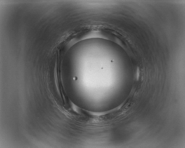 X0000054400750200508121658