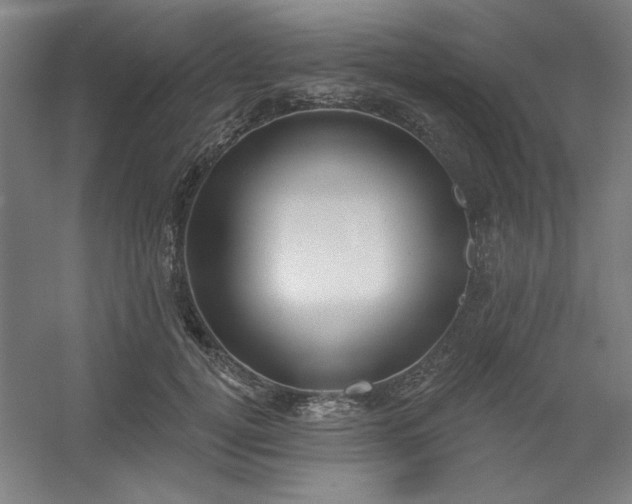 X0000054400752200508121658