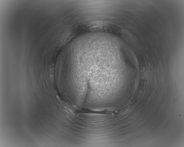 X0000054400753200508121658