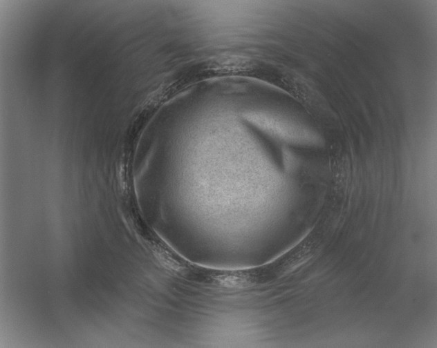 X0000054400755200508121658