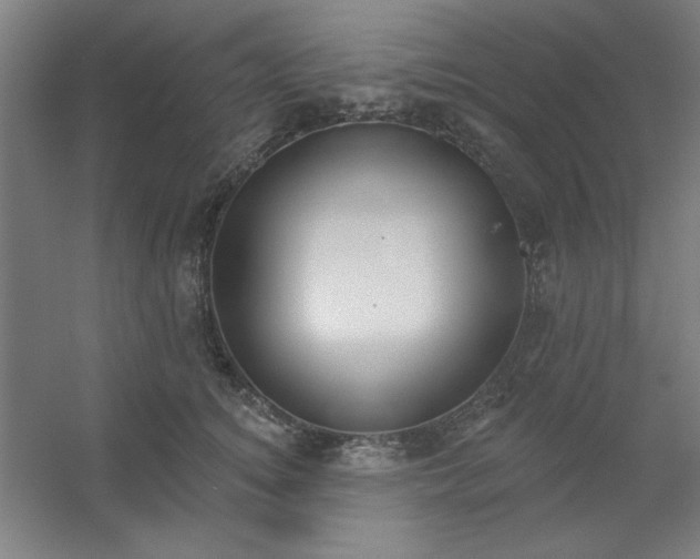 X0000054400756200508121659