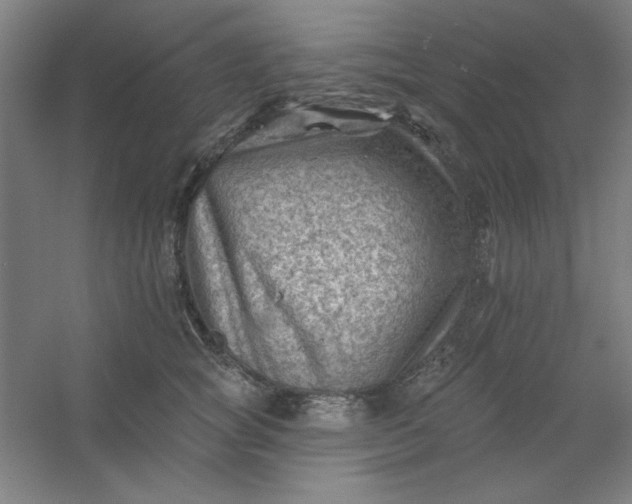 X0000054400757200508121659