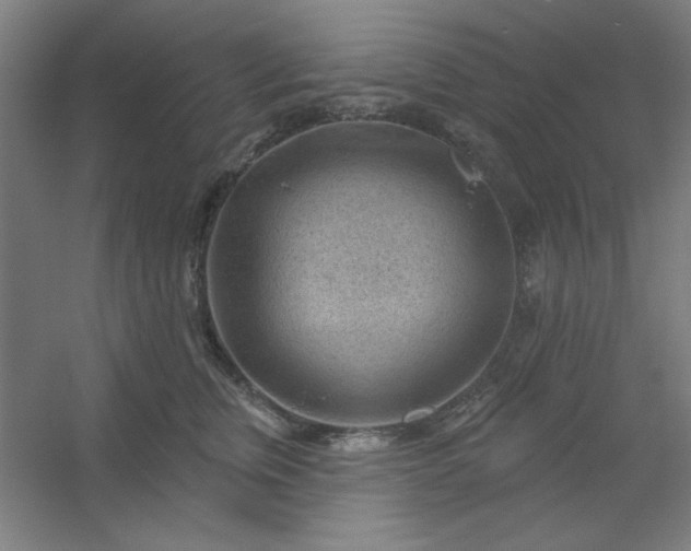 X0000054400759200508121659