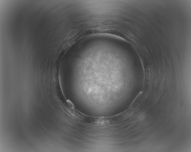 X0000054400760200508121659