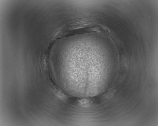 X0000054400761200508121659