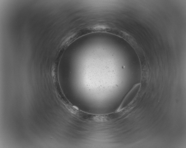 X0000054400762200508121659