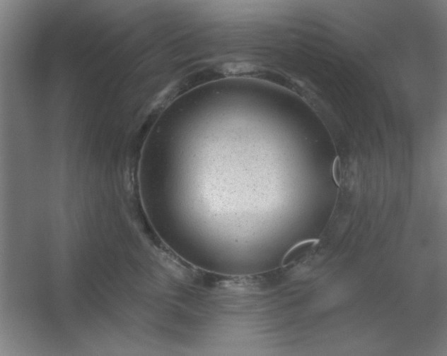 X0000054400763200508121659