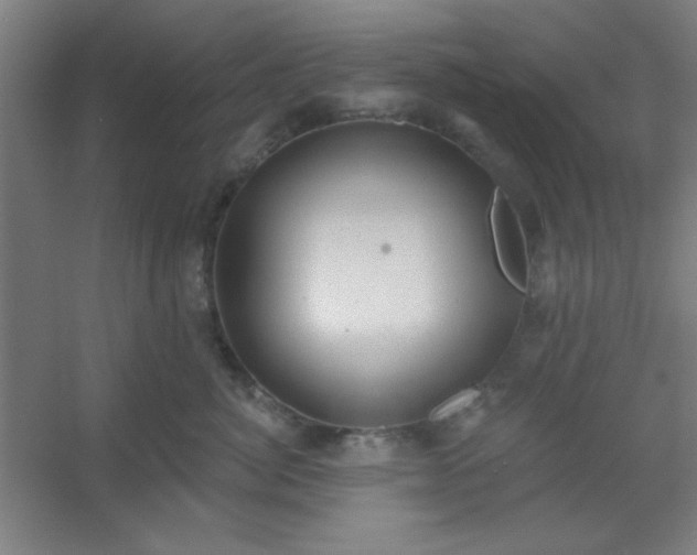 X0000054400764200508121659