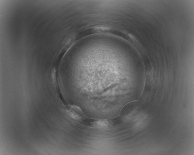 X0000054400765200508121659