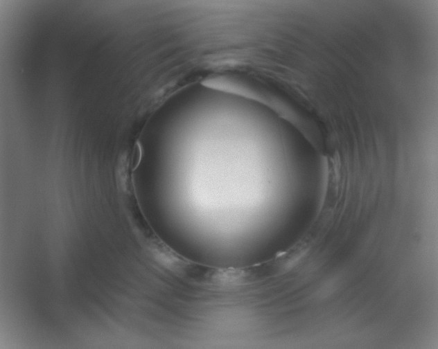 X0000054400767200508121659