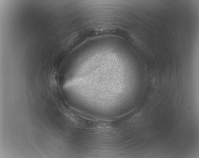 X0000054400770200508121658