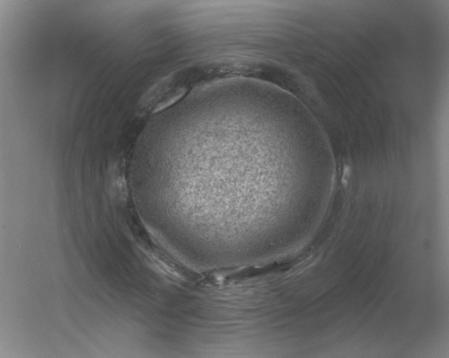 X0000054400771200508121658