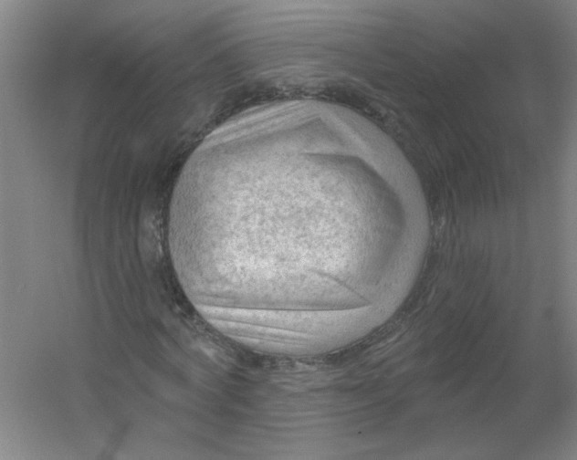 X0000054400772200508121658