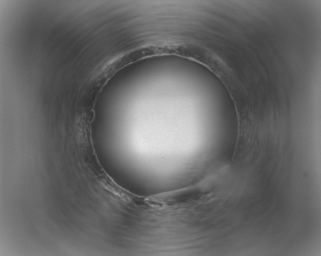 X0000054400773200508121658