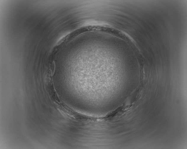 X0000054400775200508121658