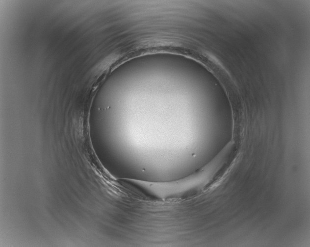 X0000054400777200508121658