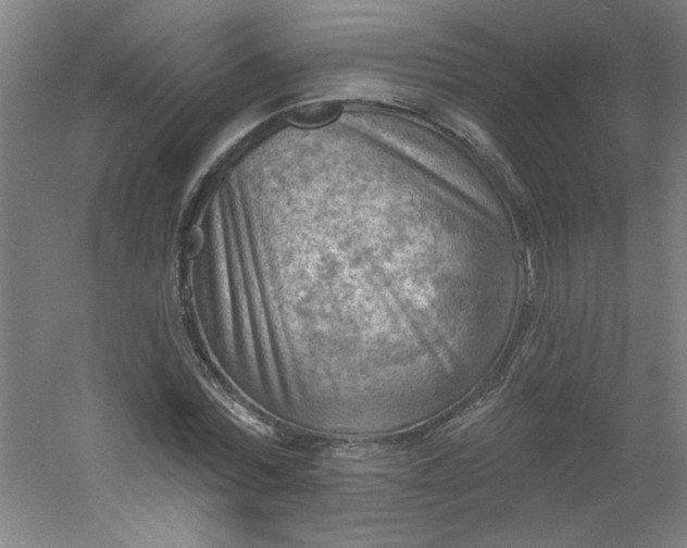 X0000054400780200508121658