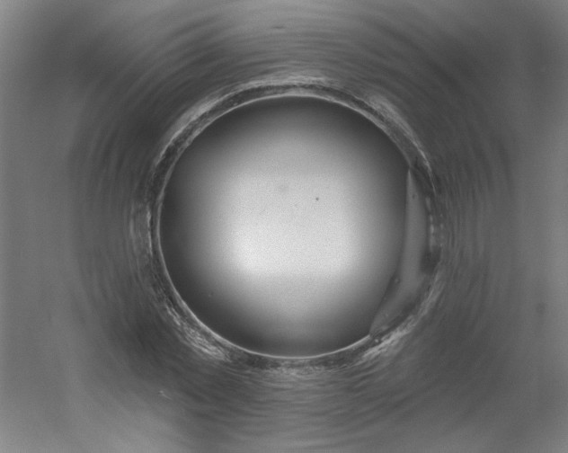 X0000054400781200508121658