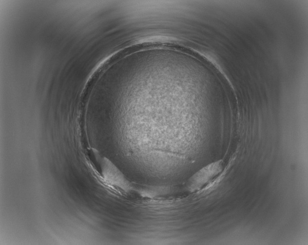 X0000054400783200508121658