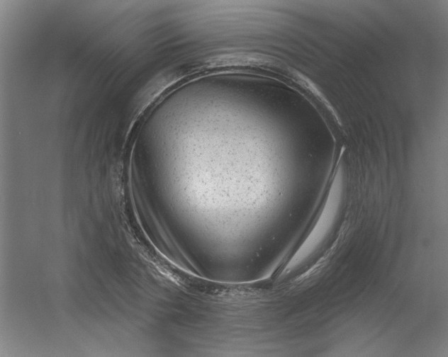 X0000054400786200508121658