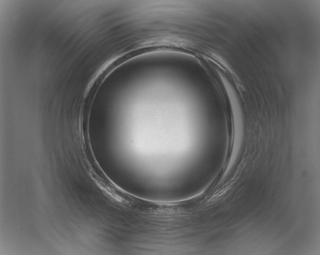 X0000054400788200508121658