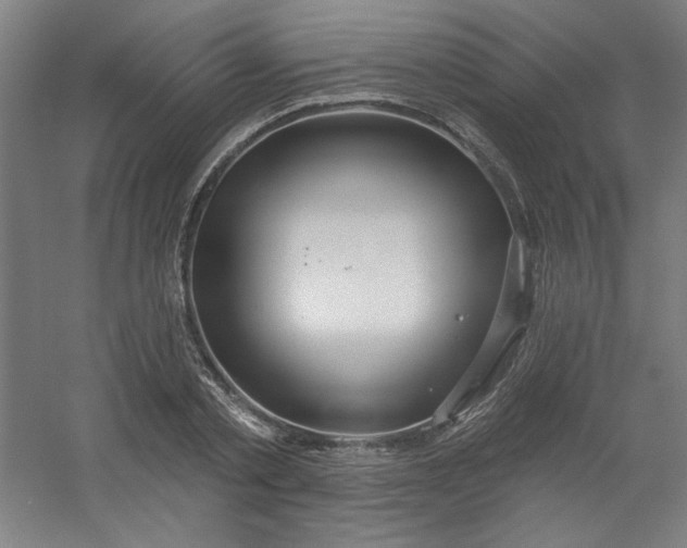 X0000054400789200508121658