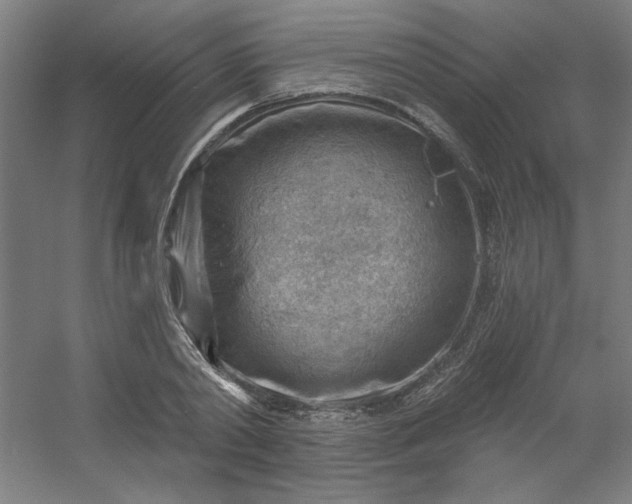 X0000054400790200508121658