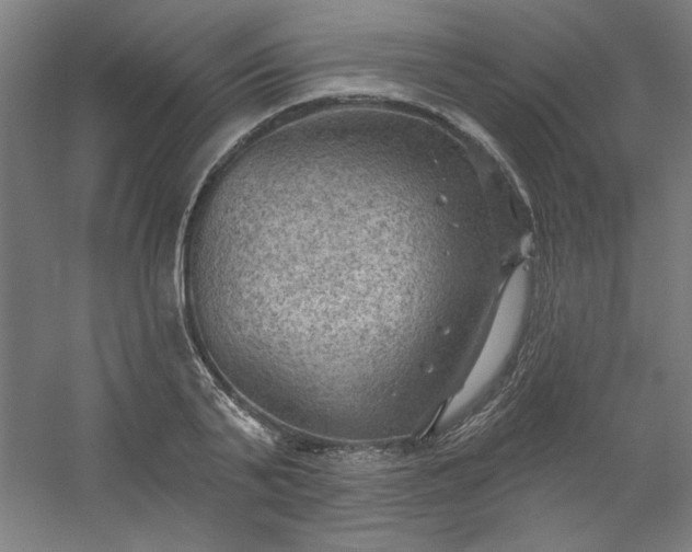 X0000054400791200508121658