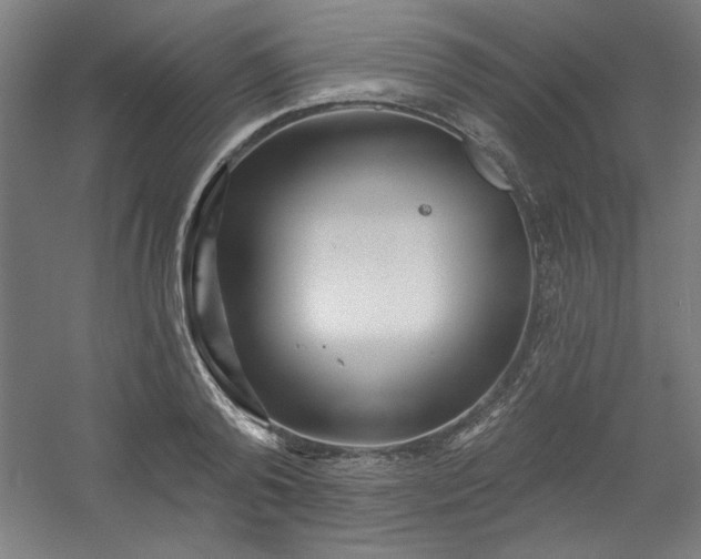 X0000054400792200508121657