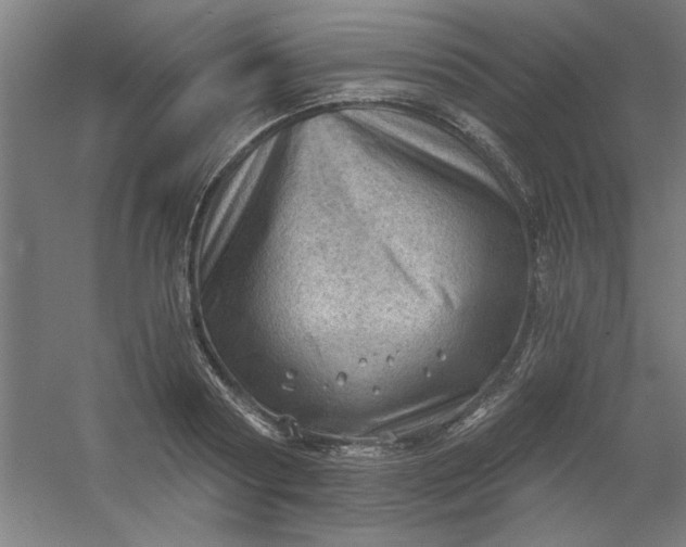 X0000054400794200508121657