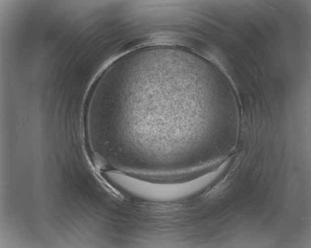 X0000054400795200508121657