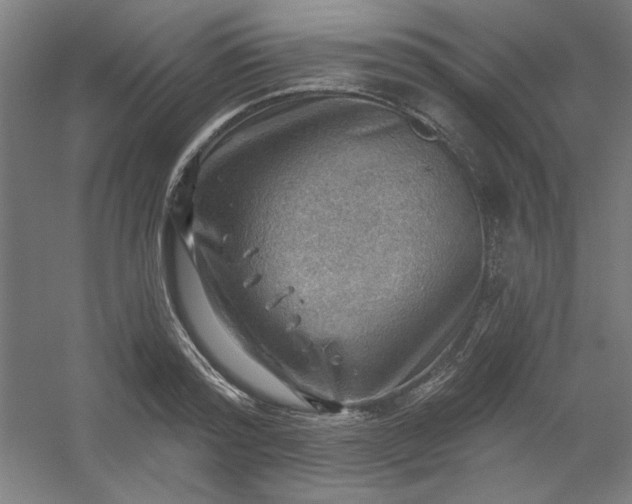 X0000054400796200508121657