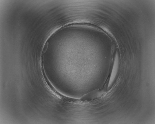 X0000054400797200508121657