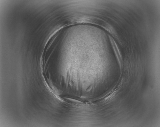 X0000054400798200508121657