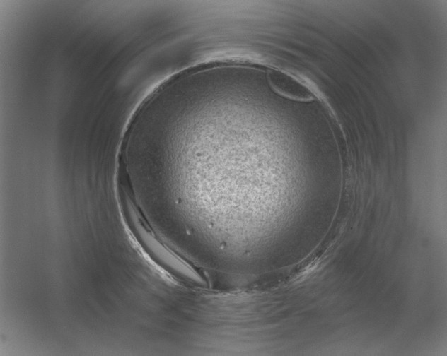 X0000054400799200508121657