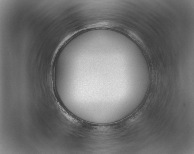 X0000054400800200508121657