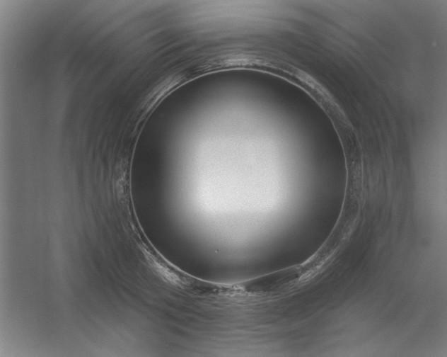 X0000054400801200508121657