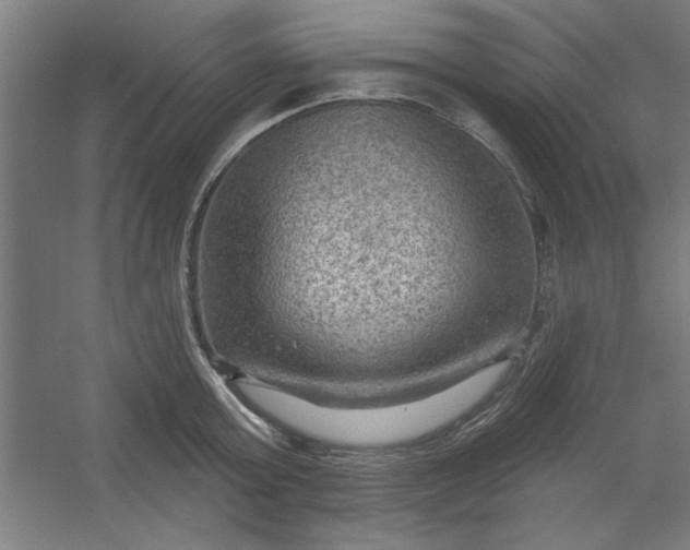 X0000054400803200508121657