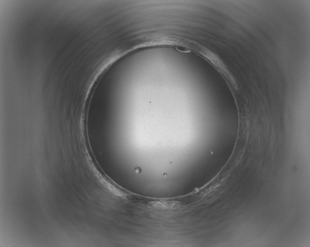 X0000054400805200508121657