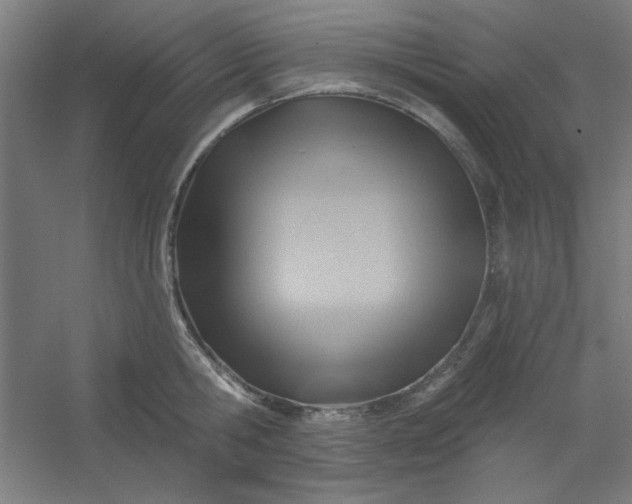 X0000054400806200508121657