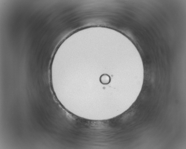 X0000054400807200508121657