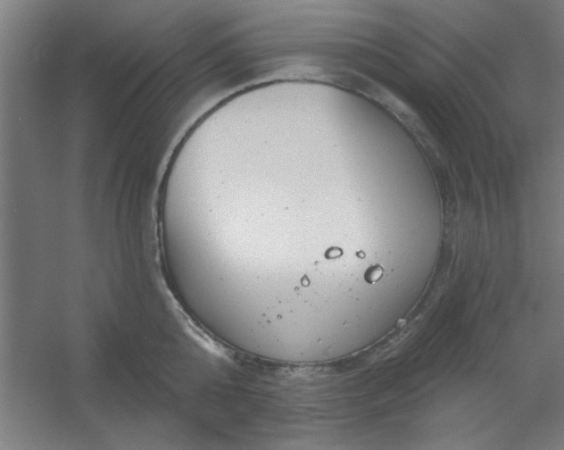 X0000054400808200508121657