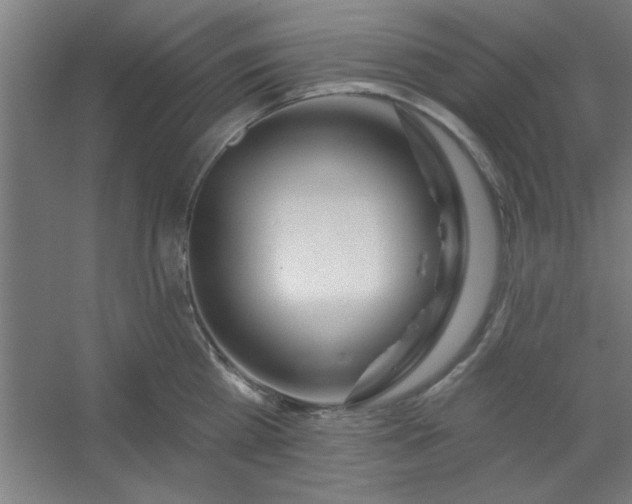 X0000054400809200508121657