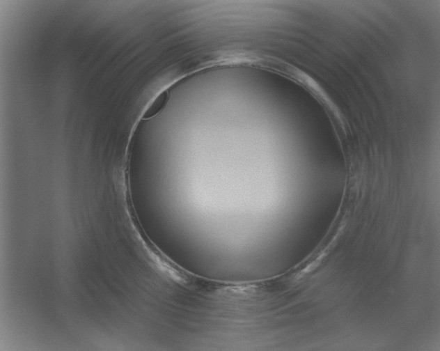 X0000054400810200508121657