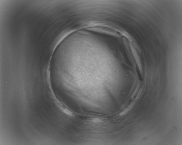 X0000054400814200508121657