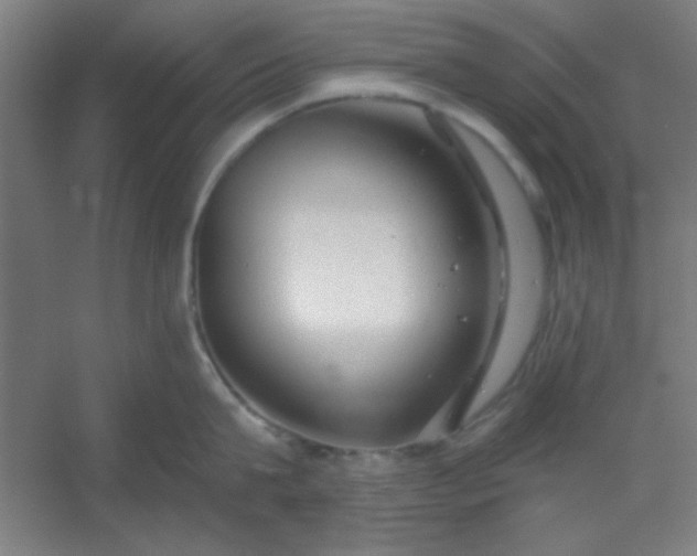 X0000054400815200508121657