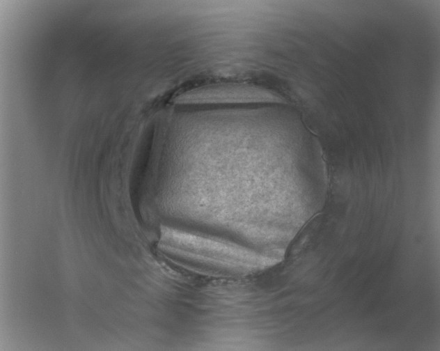 X0000054400817200508121656