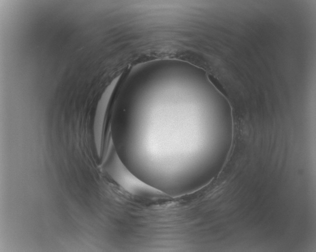 X0000054400818200508121656