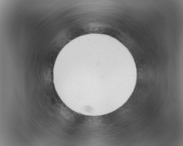 X0000054400820200508121656